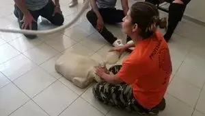 Inspeção visual: Prática do curso de Brigadista Continuada (Reciclagem Bombeiro Civil) - Registro 17